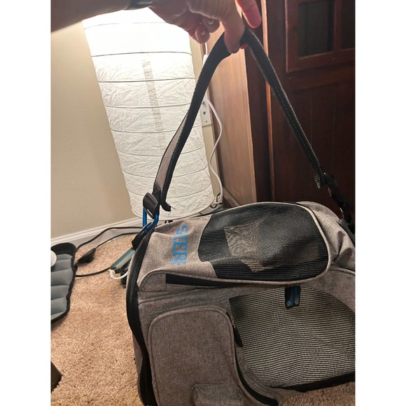 Luxury Travel for pets! - Picture 9 of 16